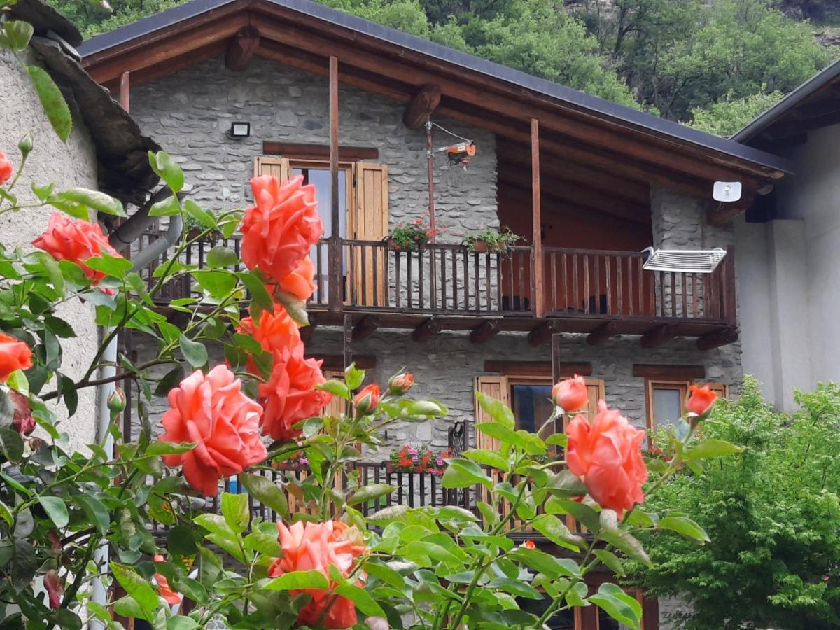 Agriturismo Al Pra Di Muriet Susa Eksteriør bilde