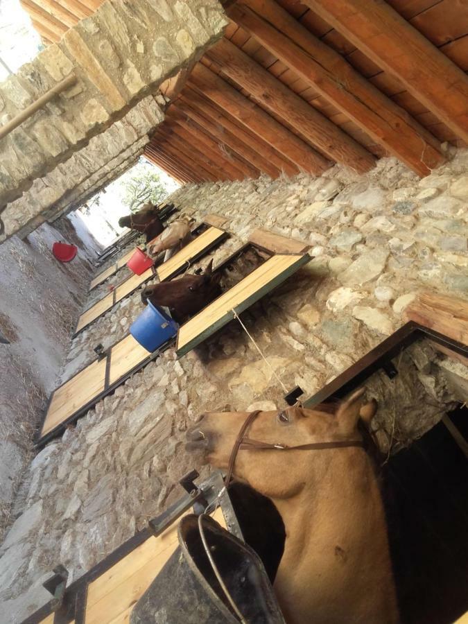 Agriturismo Al Pra Di Muriet Susa Eksteriør bilde
